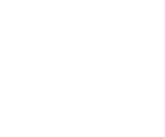 당신의 든든한 분쟁해결사